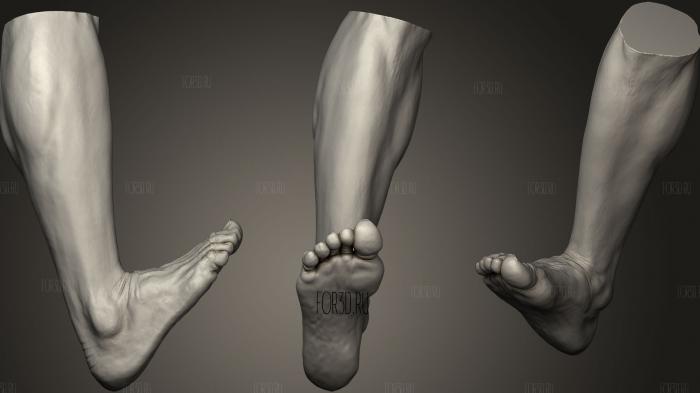 Male Foot 9 stl model for CNC